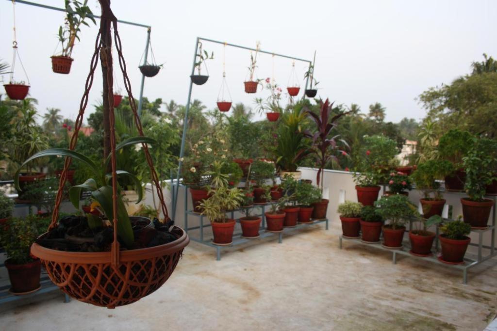 Aaron'S Homestay Kochi Dış mekan fotoğraf